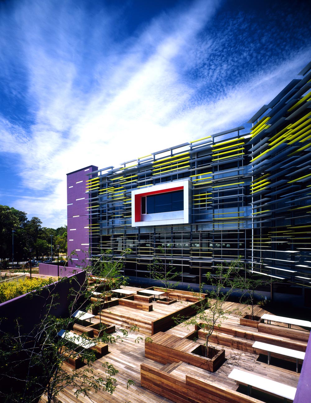 埃迪斯科文大学